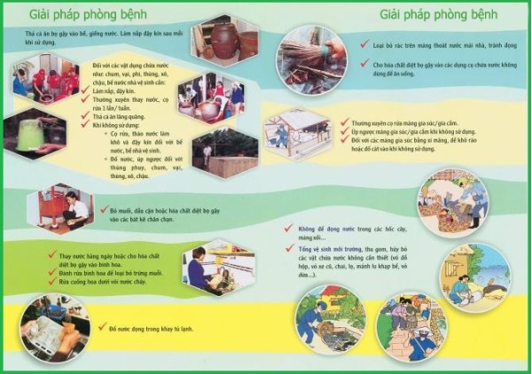 Bệnh sốt rét và sốt xuất huyết do muỗi vằn và muỗi anophen gây ra không chỉ dựa vào những triệu chứng lâm sàng để chẩn đoán bệnh