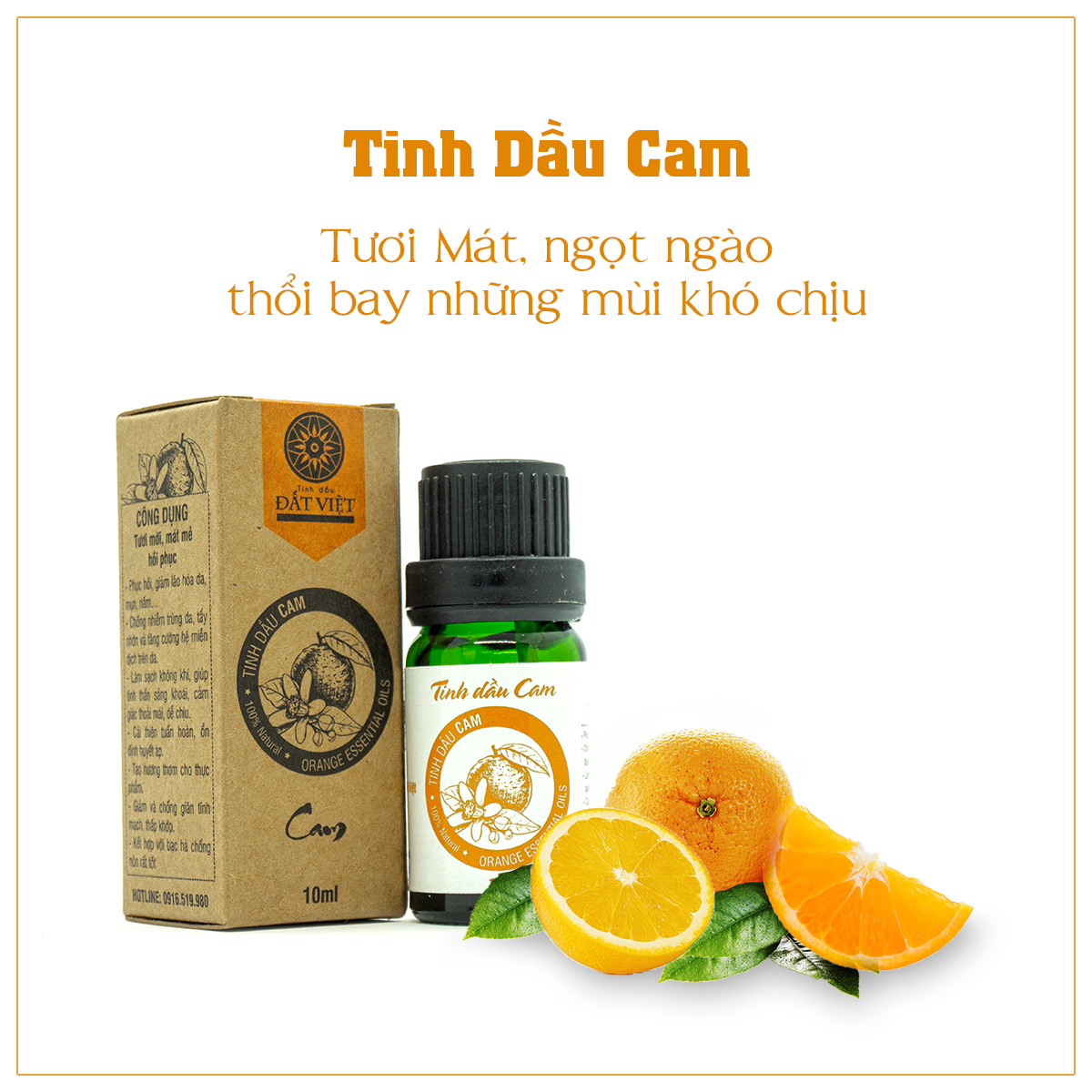 Hướng dẫn làm tinh dầu cam đúng cách tại nhà