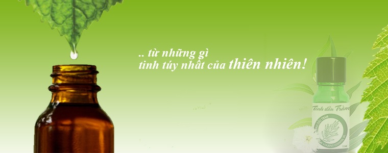 Tinh dầu thiên nhiên