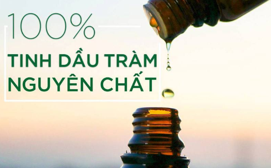 mua-tinh-dau-tram-o-dau
