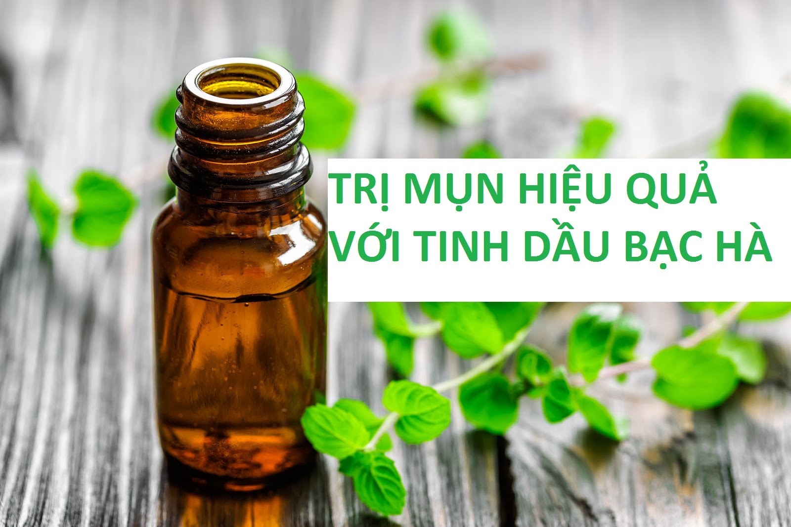 Tinh dầu bạc hà trị mụn hiệu quả