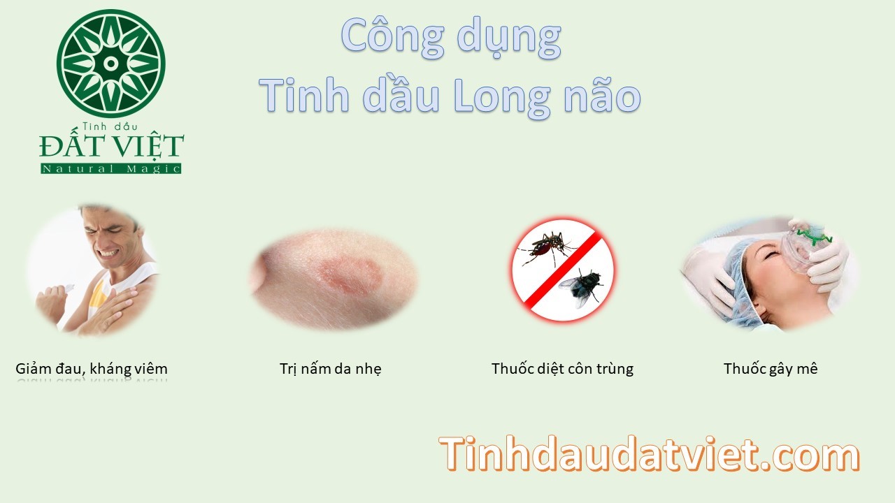 Công dụng của tinh dầu long não