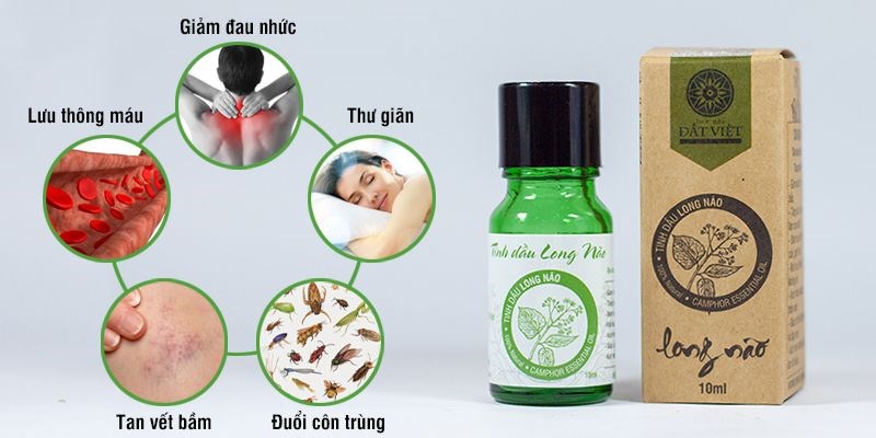 Tinh dầu long não