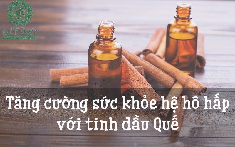 Hỗ trợ hệ hô hấp với tinh dầu quế