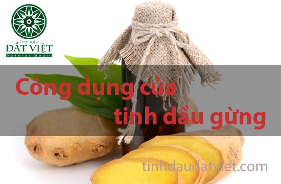 Công dụng của tinh dầu gừng