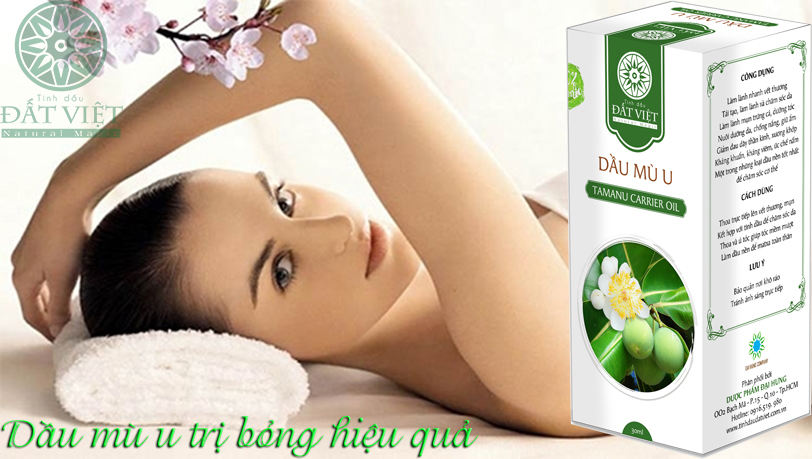 Dầu mù u trị bỏng