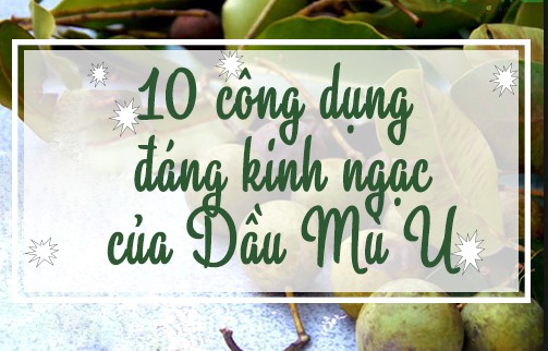 Tác dụng của dầu mù u