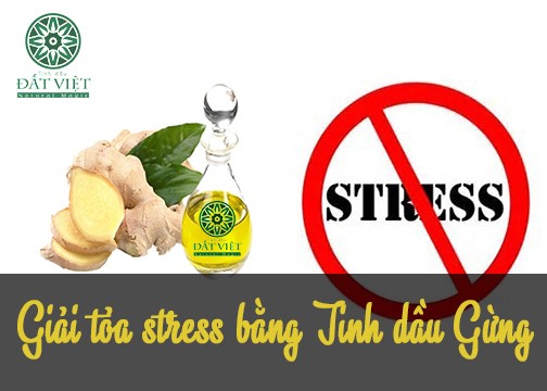 Giảm stress bằng tinh dầu gừng