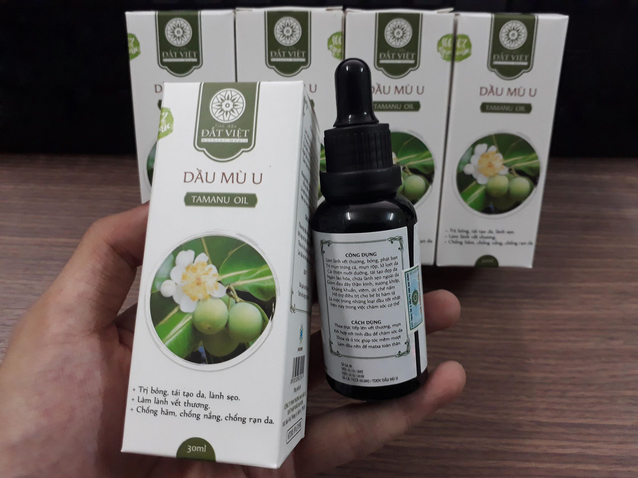 Dầu mù u đất việt