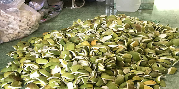 Chiết xuất tinh dầu bưởi