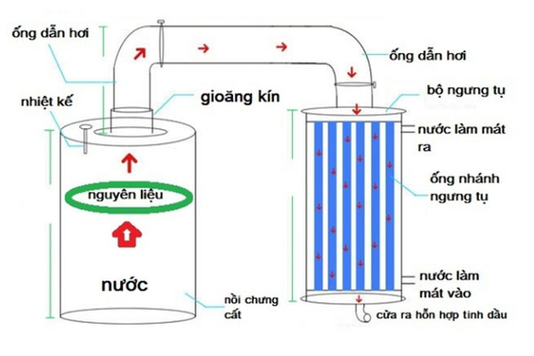 Thiết bị chưng cất hơi nước