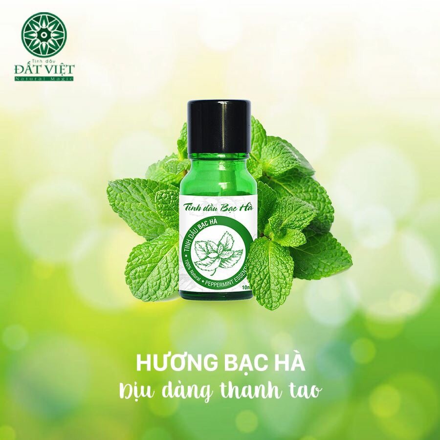 tinh-dau-bac-ha-dat-viet