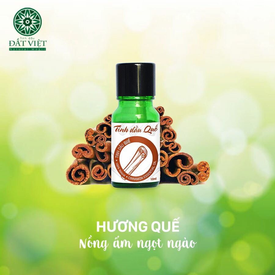tinh-dau-que-dat-viet