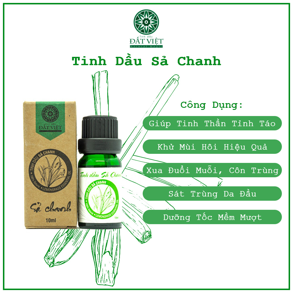 Công dụng tinh dầu sả chanh