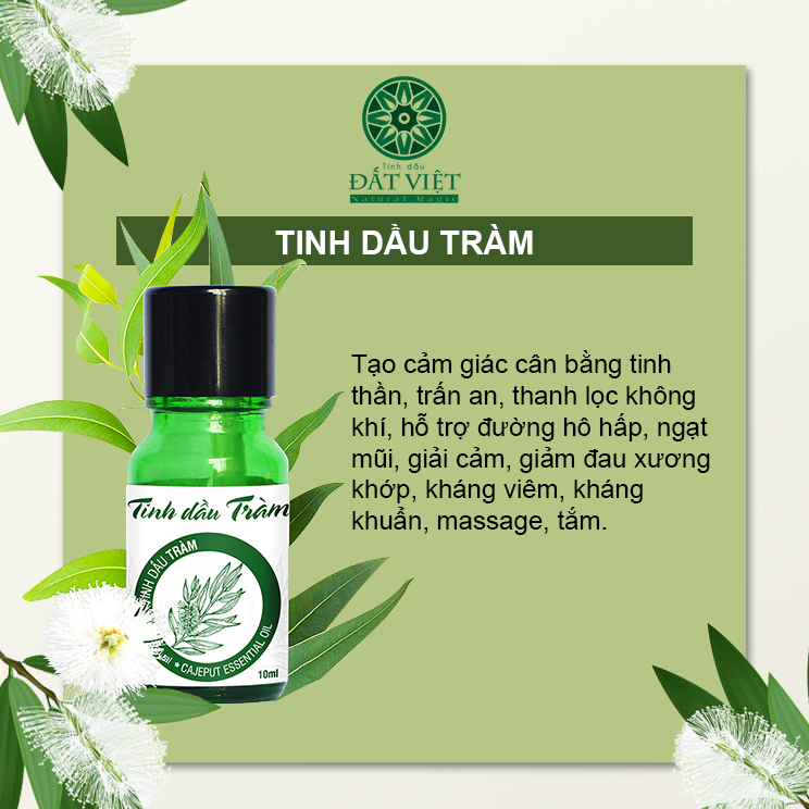 công dụng tinh dầu tràm