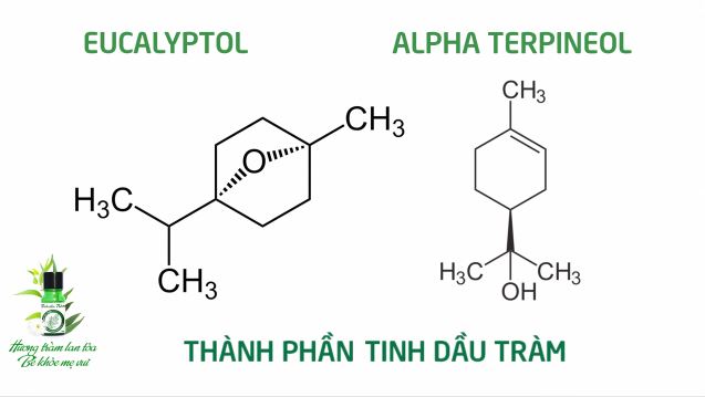 Thành phần tinh dầu tràm nguyên chất đất việt