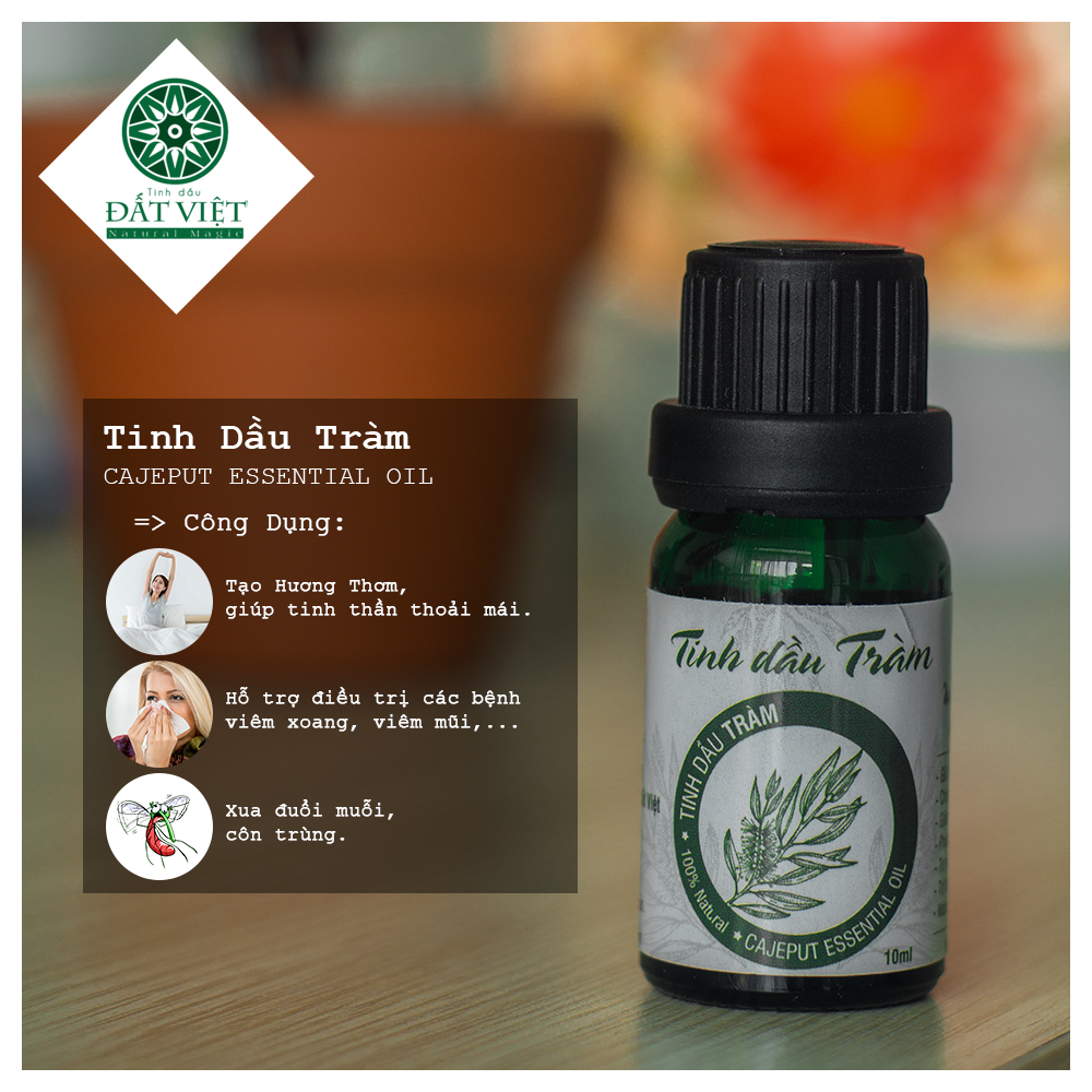 Tinh dầu Tràm nguyên chất
